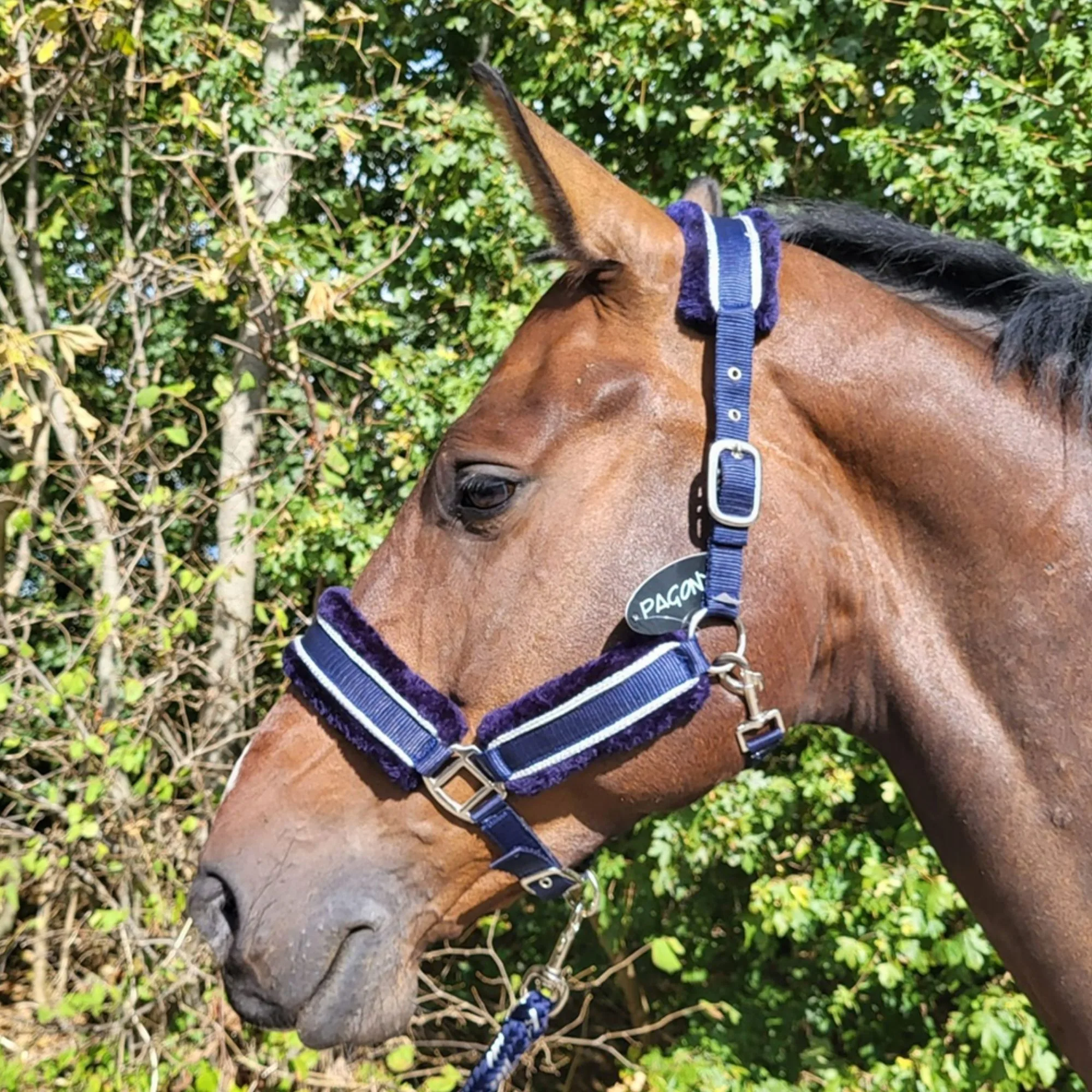 Pagony doris halsterset donkerblauw sfeer 40181