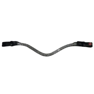 Rossner Ajoma frontriem20093 a