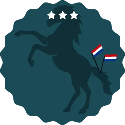 Bevrijdingsdag banner 2b 1