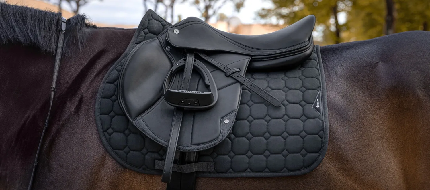 Equiline zadel op paardenrug