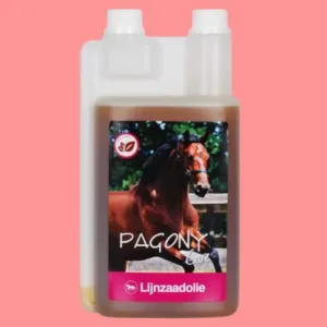 Gezondheid en Onderhoud