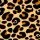 Panter