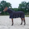 Pagony Royal vliegendeken pagony royal on horse
