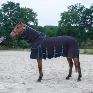 Pagony Royal vliegendeken pagony royal on horse