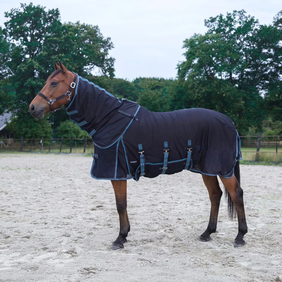Pagony Royal vliegendeken pagony royal on horse