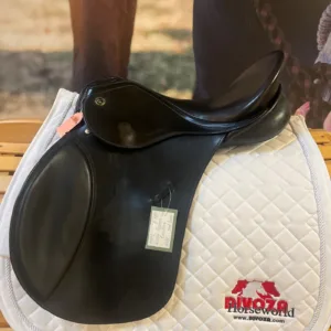 Kieffer Aachen Excellent Vzh 17,5”